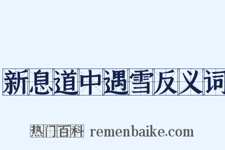 新息道中遇雪反义词是什么意思的图片